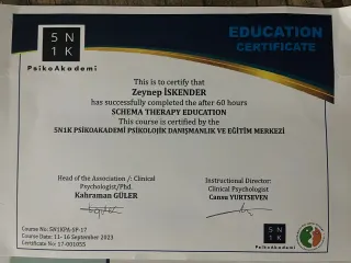 Psk. Zeynep İskender profilinde yer alan galeri fotoğrafı.