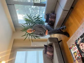 Prof. Dr. Cem Cerit profilinde yer alan galeri fotoğrafı.