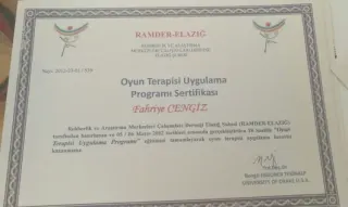 Psk. Fahriye Cengiz profilinde yer alan galeri fotoğrafı.