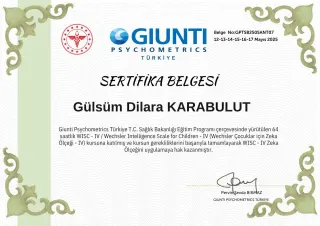 Psk. Gülsüm Dilara Karabulut profilinde yer alan galeri fotoğrafı.