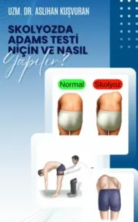 Uzm. Dr. Aslıhan Kuşvuran profilinde yer alan galeri fotoğrafı.