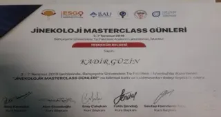 Prof. Dr. Kadir Güzin profilinde yer alan galeri fotoğrafı.
