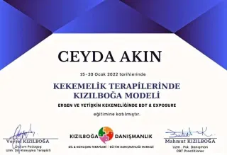 Dkt. Ceyda Akın Aras profilinde yer alan galeri fotoğrafı.