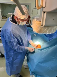 Prof. Dr. Erkan Baysal profilinde yer alan galeri fotoğrafı.