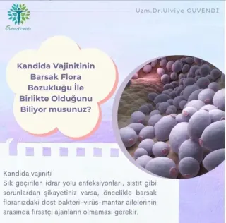 Uzm. Dr. Ülviye Güvendi profilinde yer alan galeri fotoğrafı.