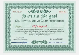 Psk. Elif Sevi Adıgüzel profilinde yer alan galeri fotoğrafı.