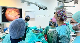Prof. Dr. Meltem Koloğlu profilinde yer alan galeri fotoğrafı.