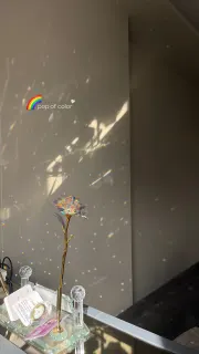 Kl. Psk. Cennet Koç profilinde yer alan galeri fotoğrafı.