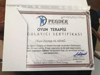 Psk. Zeynep Aladağ profilinde yer alan galeri fotoğrafı.