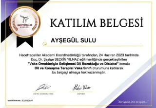 Uzm. Dkt. Ayşegül Sulu profilinde yer alan galeri fotoğrafı.