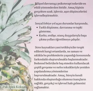 Kl. Psk. İpek Köksal profilinde yer alan galeri fotoğrafı.