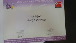 Dt. Bilge Cevher profilinde yer alan galeri fotoğrafı.