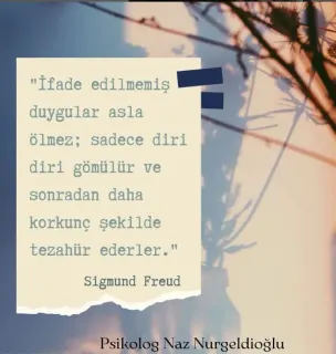 Psk. Naz Nurgeldioğlu profilinde yer alan galeri fotoğrafı.