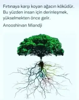 Psk. Candan Kaya profilinde yer alan galeri fotoğrafı.