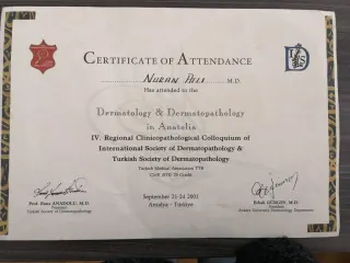 Prof. Dr. Nuran Allı profilinde yer alan galeri fotoğrafı.