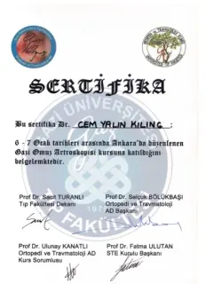 Prof. Dr. Cem Yalın Kılınç profilinde yer alan galeri fotoğrafı.