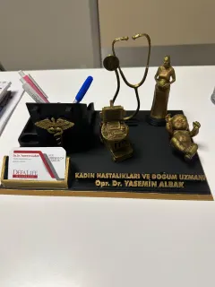 Op. Dr. Yasemin Albak profilinde yer alan galeri fotoğrafı.