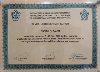 Op. Dr. Numan Atılgan profilinde yer alan galeri fotoğrafı.