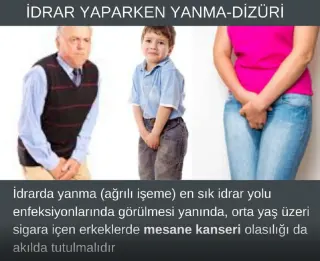 Prof. Dr. Hakkı Perk profilinde yer alan galeri fotoğrafı.