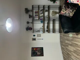 Psk. Selin Coşar profilinde yer alan galeri fotoğrafı.