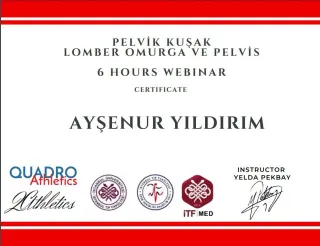 Fzt. Ayşenur Yıldırım profilinde yer alan galeri fotoğrafı.