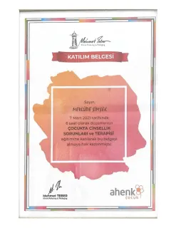 Kl. Psk. Mevlüde Seher Şimşek profilinde yer alan galeri fotoğrafı.