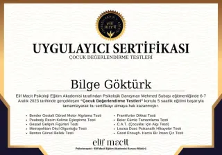 Psk. Bilge Göktürk profilinde yer alan galeri fotoğrafı.