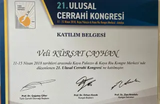 Op. Dr. Veli Kürşat Çayhan profilinde yer alan galeri fotoğrafı.