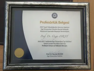 Prof. Dr. Özgür Fırat profilinde yer alan galeri fotoğrafı.