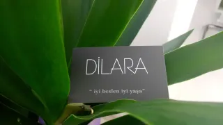 Uzm. Dyt. Dilara Turan Karayel profilinde yer alan galeri fotoğrafı.