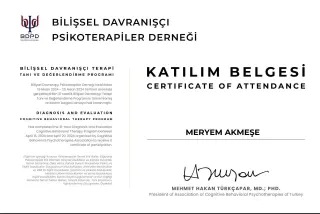 Psk. Meryem Akmeşe profilinde yer alan galeri fotoğrafı.