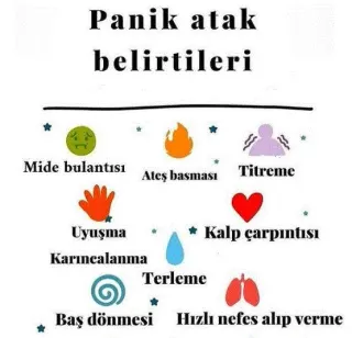 Psk. Elif Cor profilinde yer alan galeri fotoğrafı.