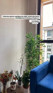 Kl. Psk. Aslıhan Tellioğlu profilinde yer alan galeri fotoğrafı.
