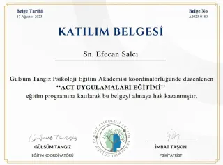 Kl. Psk. Efecan Salcı profilinde yer alan galeri fotoğrafı.