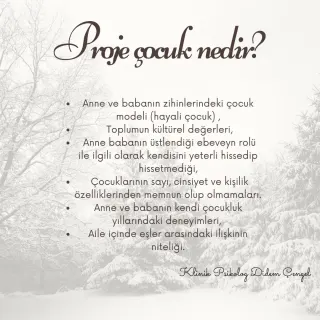 Kl. Psk. Didem Çengel profilinde yer alan galeri fotoğrafı.