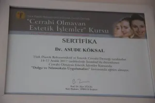 Op. Dr. Asude Köksal profilinde yer alan galeri fotoğrafı.
