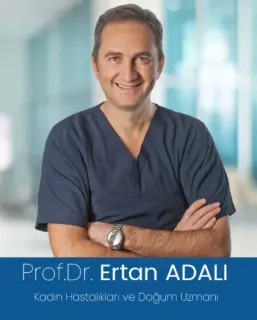 Prof. Dr. Ertan Adalı profilinde yer alan galeri fotoğrafı.