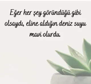 Kl. Psk. Hazal Yürür Baloğlu profilinde yer alan galeri fotoğrafı.
