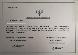 Psk. Aynur Erdoğanoğlu profilinde yer alan galeri fotoğrafı.