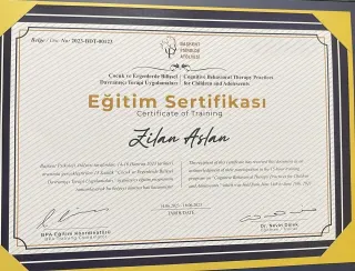 Psk. Zilan Aslan profilinde yer alan galeri fotoğrafı.