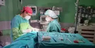 Doç. Dr. Mehmet Sinan Başoğlu profilinde yer alan galeri fotoğrafı.