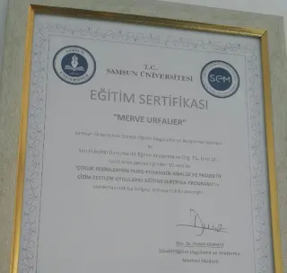 Psk. Merve Urfalıer profilinde yer alan galeri fotoğrafı.