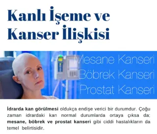 Prof. Dr. Hakkı Perk profilinde yer alan galeri fotoğrafı.