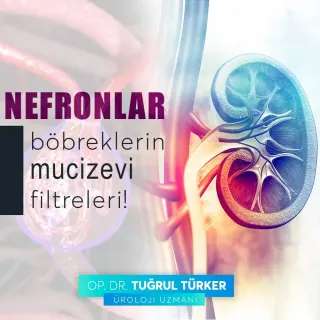 Op. Dr. Tuğrul Türker profilinde yer alan galeri fotoğrafı.