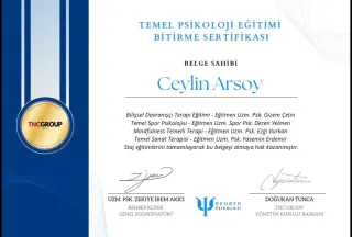 Psk. Ceylin Arsoy profilinde yer alan galeri fotoğrafı.