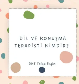 Dkt. Tolga Ergin profilinde yer alan galeri fotoğrafı.