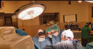 Prof. Dr. Leyla Zer profilinde yer alan galeri fotoğrafı.