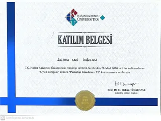 Psk. Sultan Nur Dağdelen profilinde yer alan galeri fotoğrafı.
