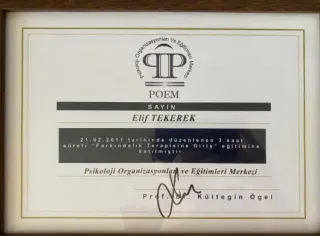 Psk. Elif Zahide Gök profilinde yer alan galeri fotoğrafı.