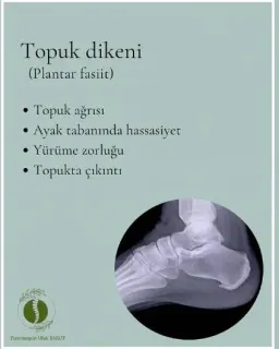 Fzt. Ufuk Barut profilinde yer alan galeri fotoğrafı.